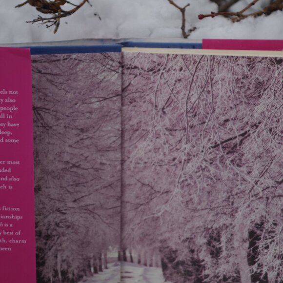 Book A Few Of The Girls By , Maeve Binchy - Picture 5 of 6